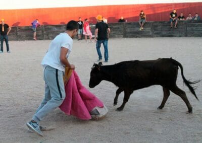Actividad de capea en León