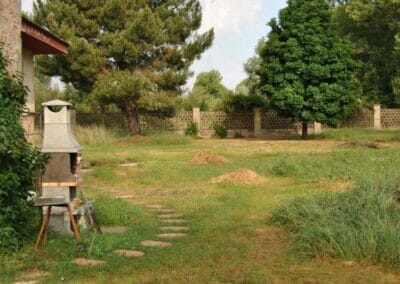 Jardín casa rural León 2