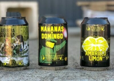 Cata de cerveza con amigos o familia Segovia