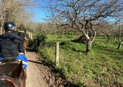 Paseo a caballo cerca de Oviedo