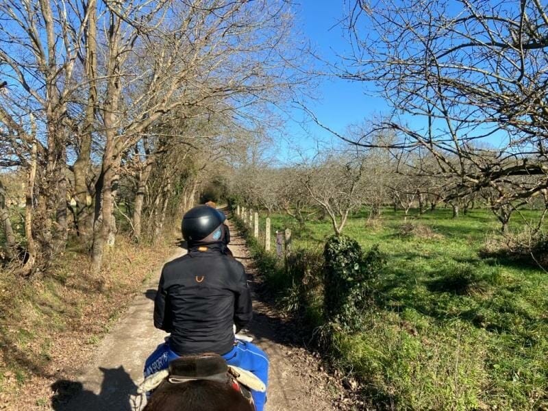 Jinete guiado por un camino rural entre árboles en la ruta a caballo cerca de Gijón, concejo de Villaviciosa