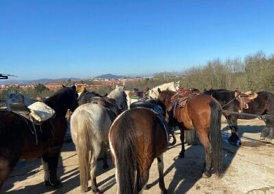 Caballos listos en la cuadra antes de salir de ruta, a 24 km de Gijón